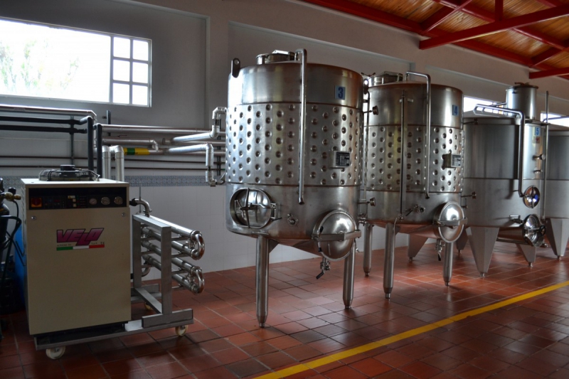 cave-BRIANCONNET-min_wine_production_cantine_winery_drink_alcohol_vine_beverage-902036